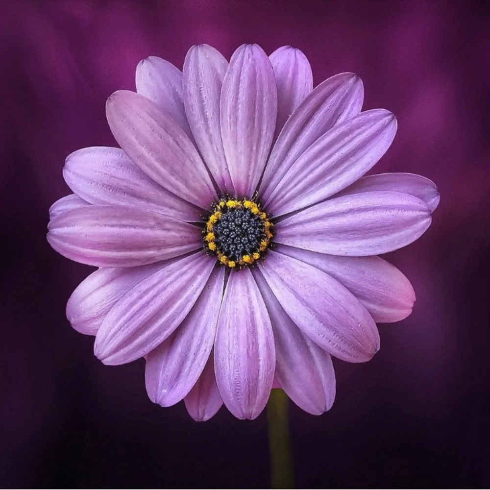 🆕NWT•3D Unicorn Eye Mask & Fuzzy Sock Set - Picture 12 of 14